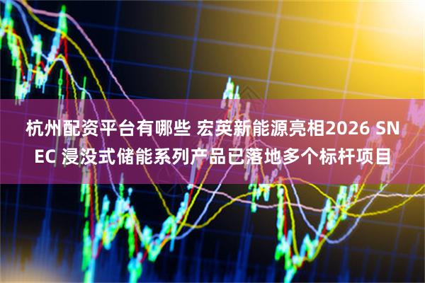 杭州配资平台有哪些 宏英新能源亮相2026 SNEC 浸没式储能系列产品已落地多个标杆项目
